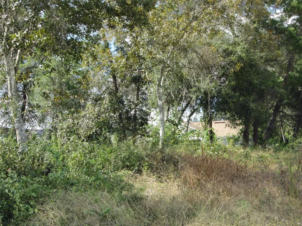 1688 CATALINA BLVD Deltona, FL 32738