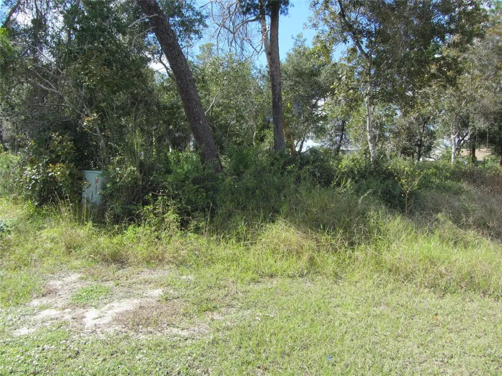 1688 CATALINA BLVD Deltona, FL 32738