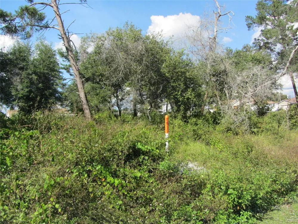 1688 CATALINA BLVD Deltona, FL 32738