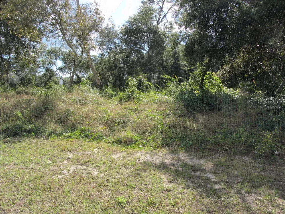 1688 CATALINA BLVD Deltona, FL 32738