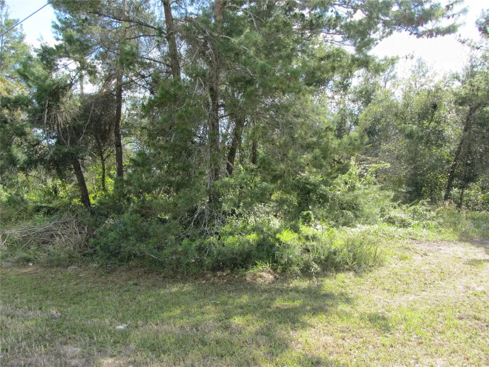 1688 CATALINA BLVD Deltona, FL 32738