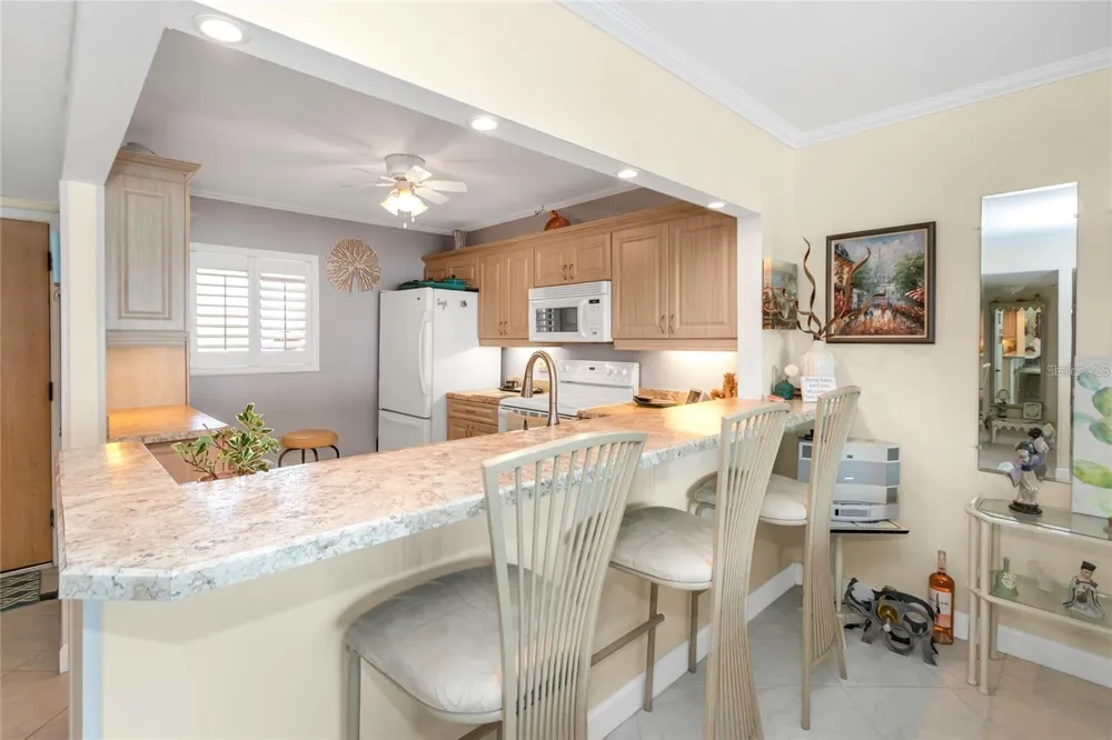 868 BAYWAY BOULEVARD #312 Clearwater, FL 33767