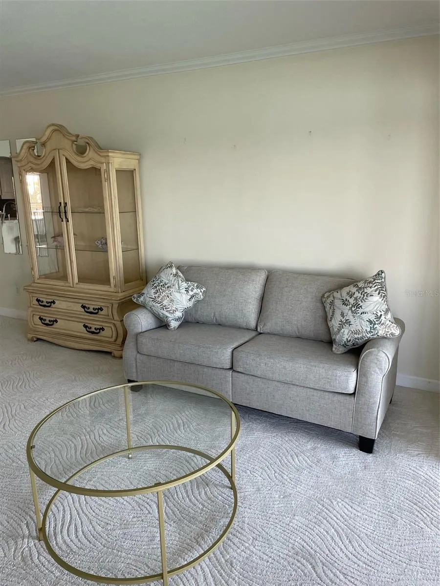868 BAYWAY BOULEVARD #312 Clearwater, FL 33767