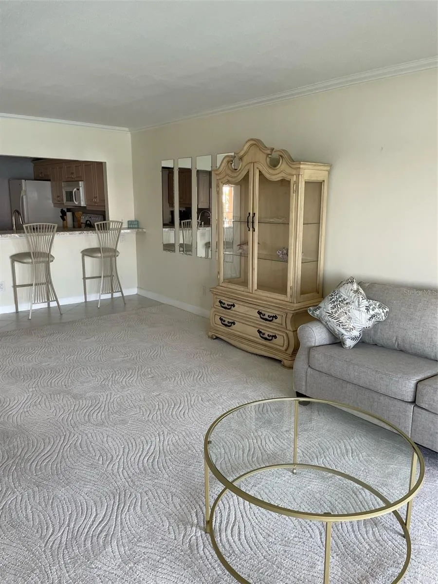 868 BAYWAY BOULEVARD #312 Clearwater, FL 33767