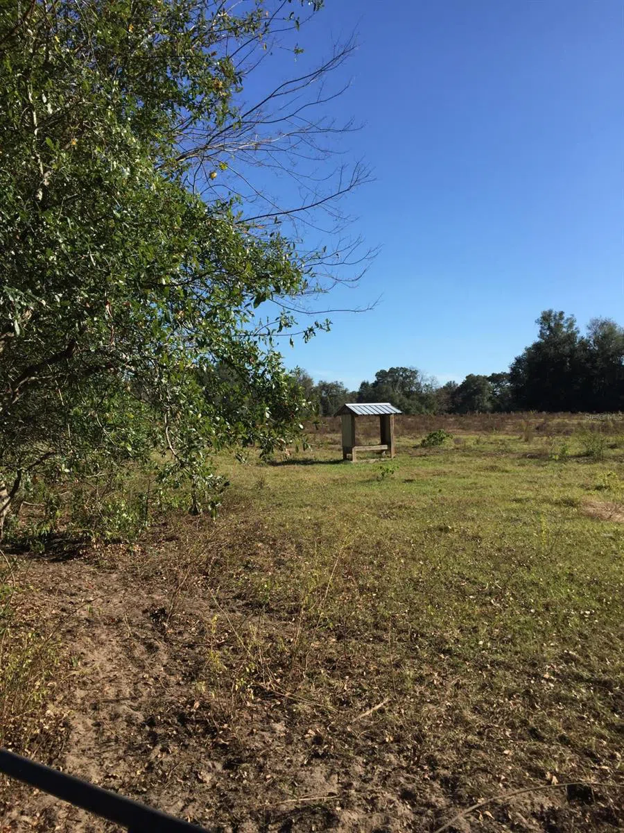 7237 NE 33rd Court Anthony, FL 32617