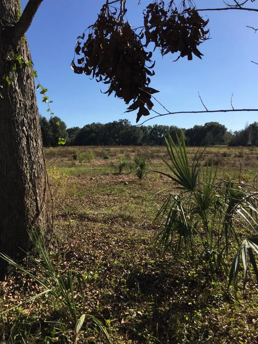 7237 NE 33rd Court Anthony, FL 32617