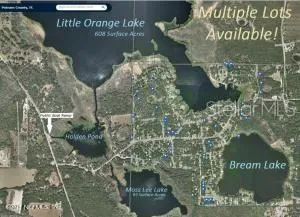 Lot 66 & Lot 67 Ashley Street Hawthorne, FL 32640
