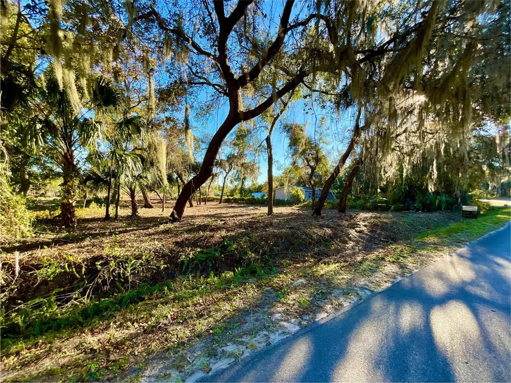 Lot 66 & Lot 67 Ashley Street Hawthorne, FL 32640