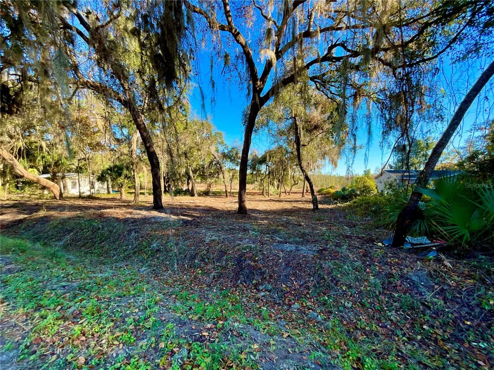 Lot 66 & Lot 67 Ashley Street Hawthorne, FL 32640