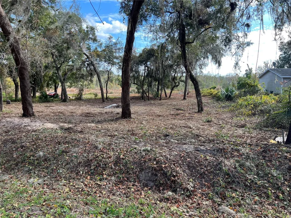 Lot 66 & Lot 67 Ashley Street Hawthorne, FL 32640
