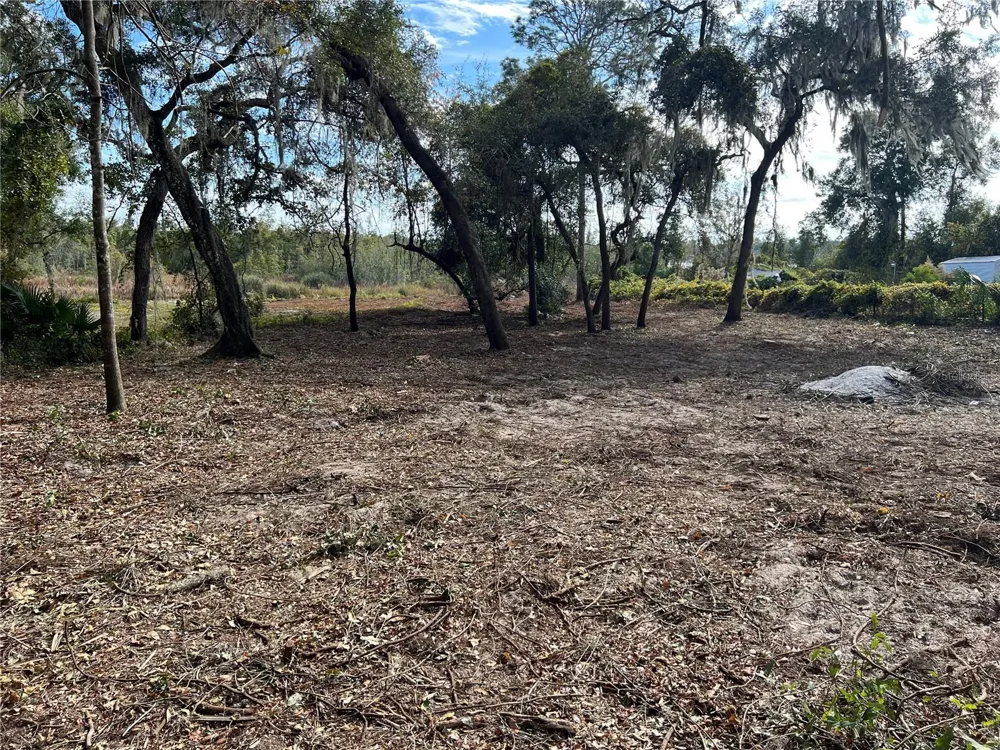 Lot 66 & Lot 67 Ashley Street Hawthorne, FL 32640