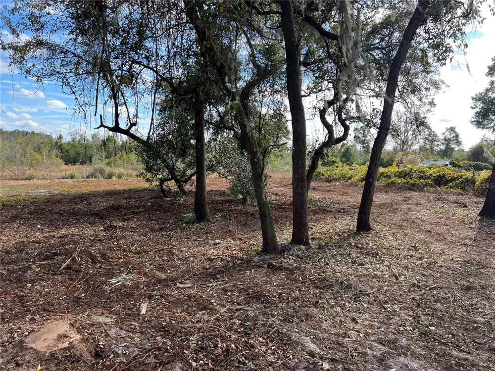 Lot 66 & Lot 67 Ashley Street Hawthorne, FL 32640