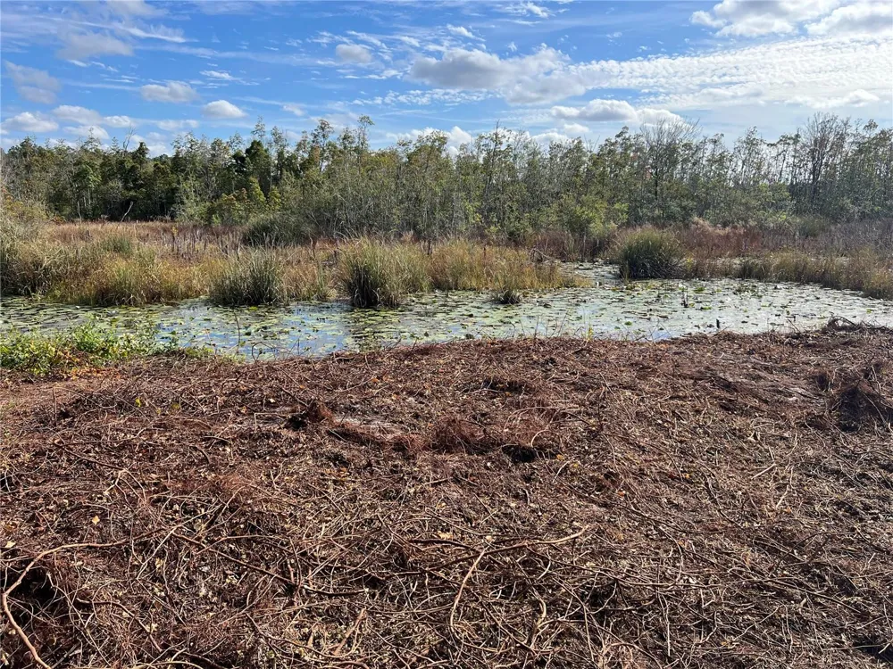 Lot 66 & Lot 67 Ashley Street Hawthorne, FL 32640