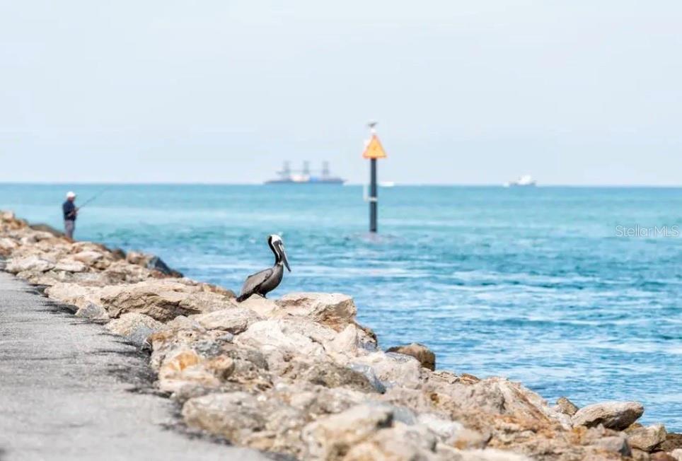 Address Not Shown Venice, FL 34285