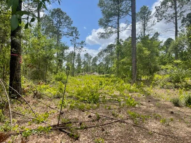 S OBRIEN ROAD Groveland, FL 34736