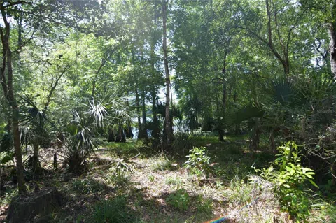 SW 64TH AVENUE