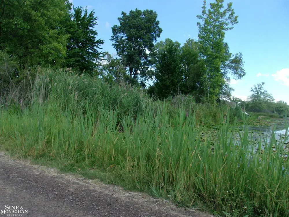 2039 Golf Course Road Clay Township, MI 48028