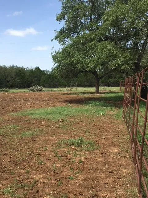 1685 Hwy 281 Highway Johnson City, TX 78636