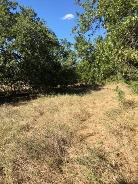 1685 Hwy 281 Highway Johnson City, TX 78636