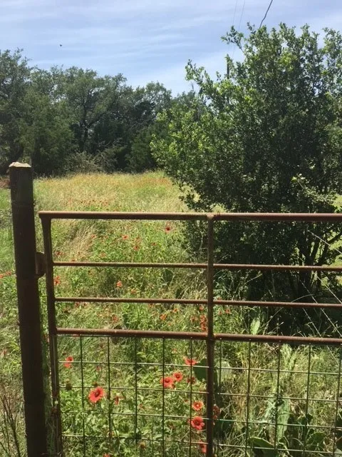 1685 Hwy 281 Highway Johnson City, TX 78636