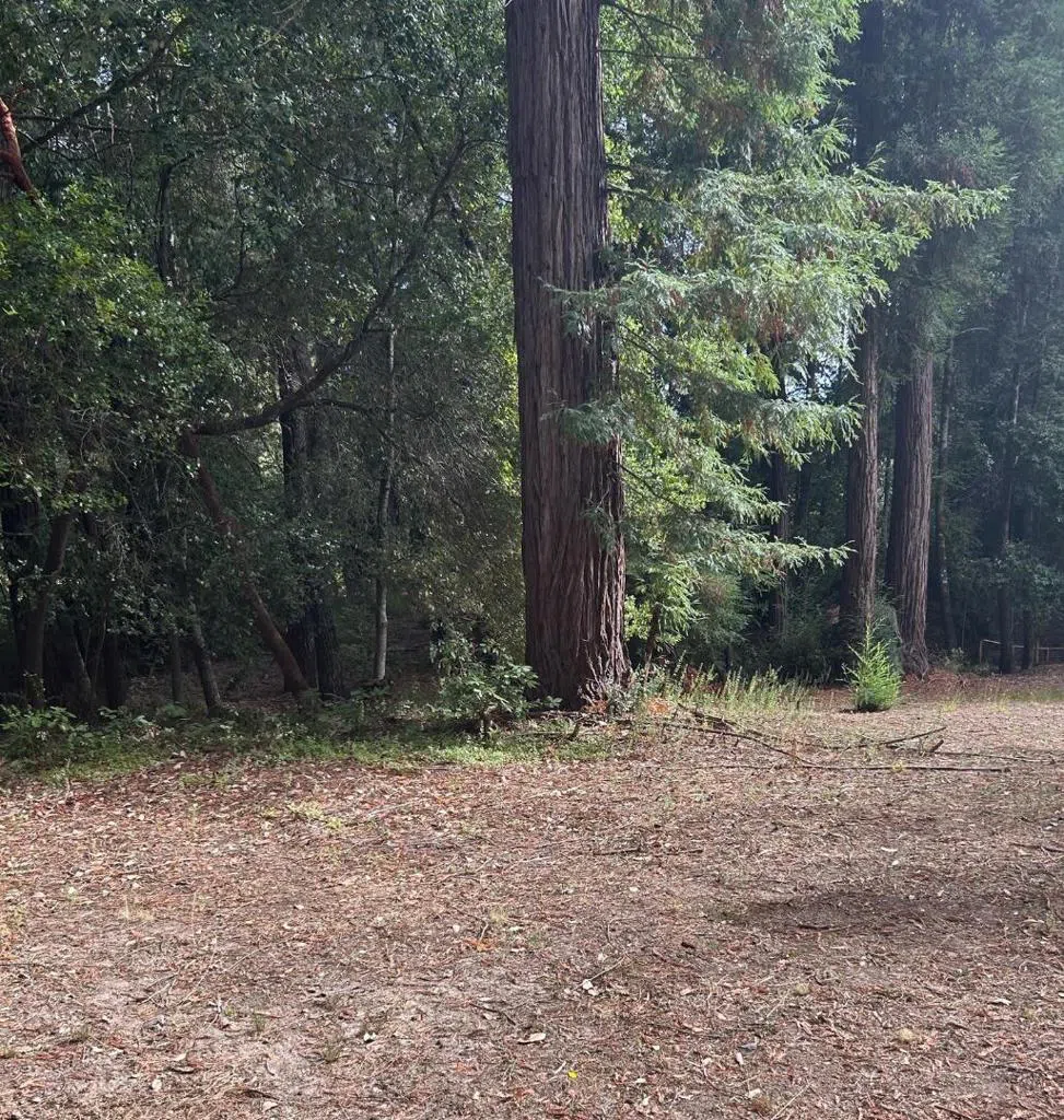104 Mcpherson Court Boulder Creek, CA 95006