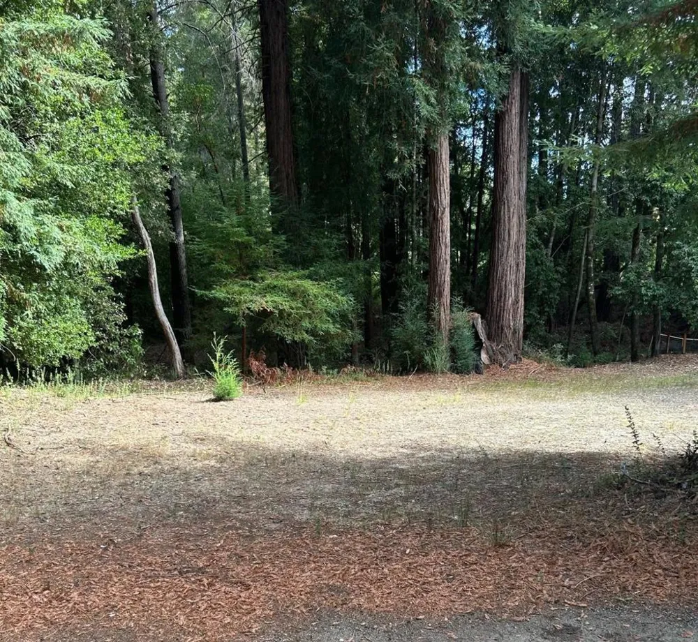 104 Mcpherson Court Boulder Creek, CA 95006