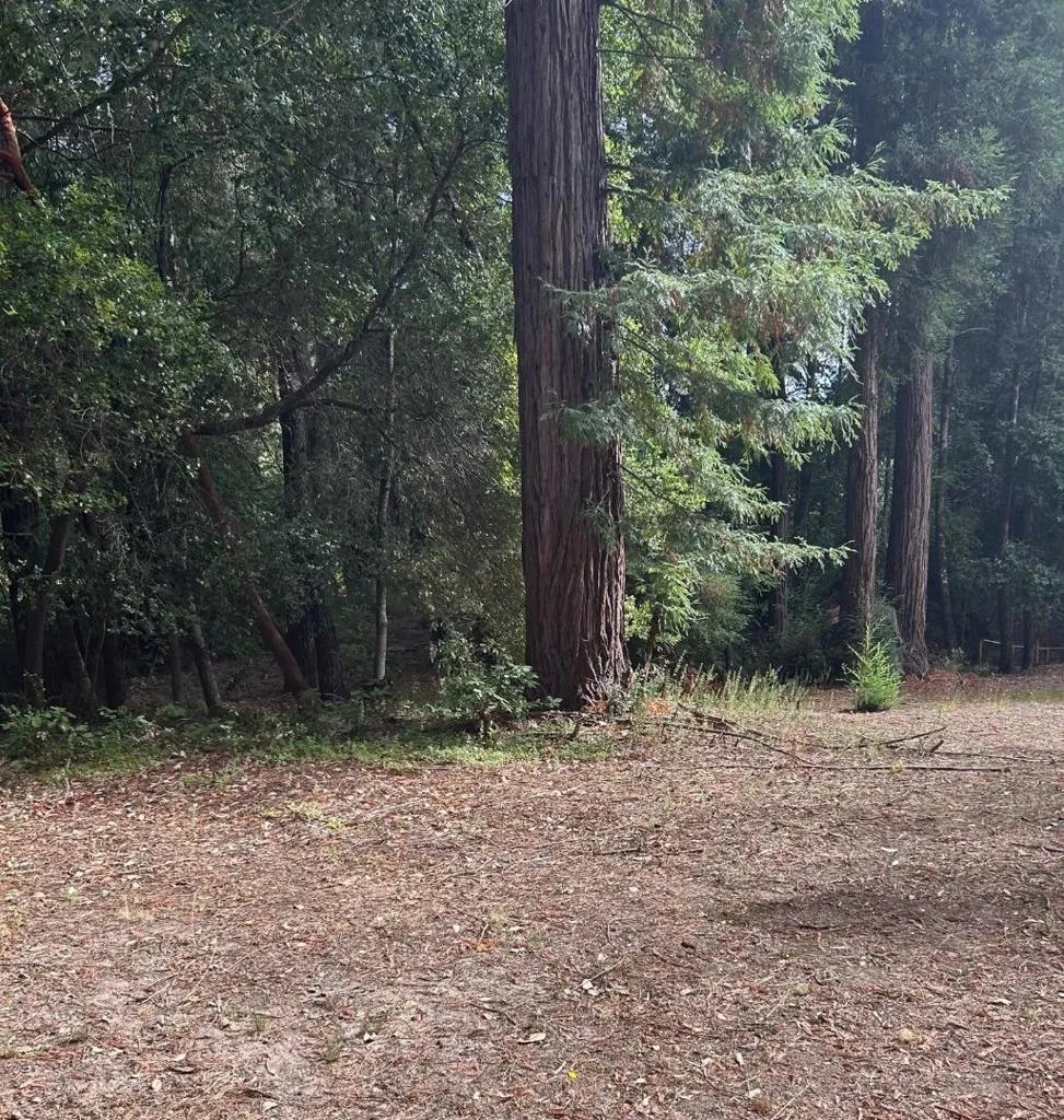 104 Mcpherson Court Boulder Creek, CA 95006