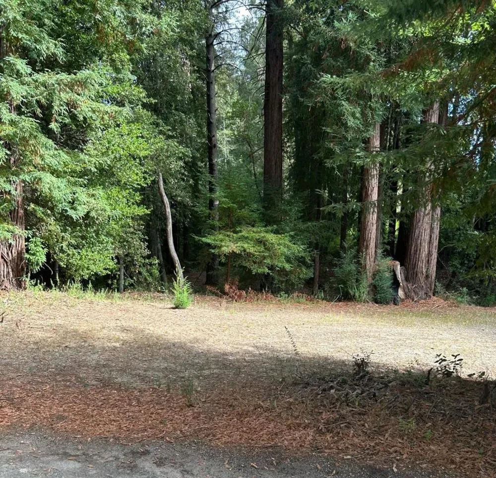 104 Mcpherson Court Boulder Creek, CA 95006