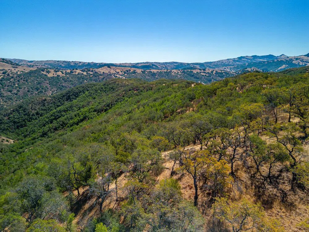 Pacheco Pass Hwy Gilroy, CA 95020