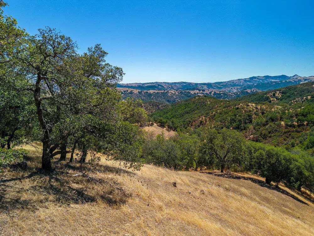 Pacheco Pass Hwy Gilroy, CA 95020