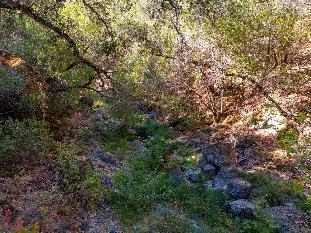 Pacheco Pass Hwy Gilroy, CA 95020