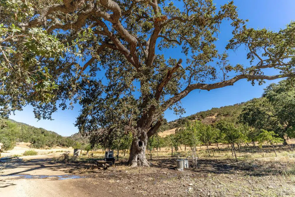 Pacheco Pass Hwy Gilroy, CA 95020