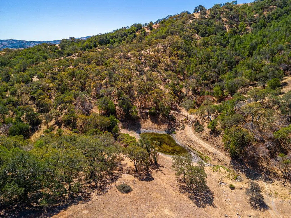 Pacheco Pass Hwy Gilroy, CA 95020