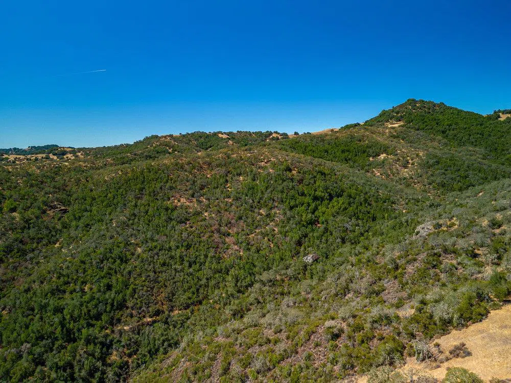 Pacheco Pass Hwy Gilroy, CA 95020