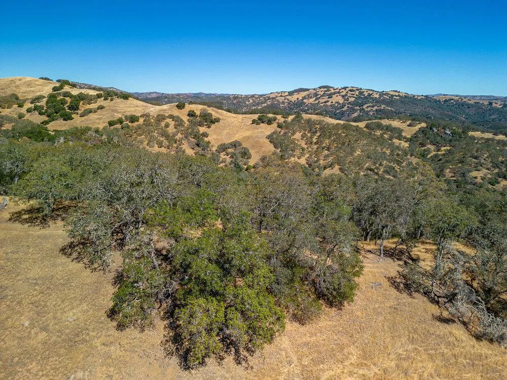 Pacheco Pass Hwy Gilroy, CA 95020