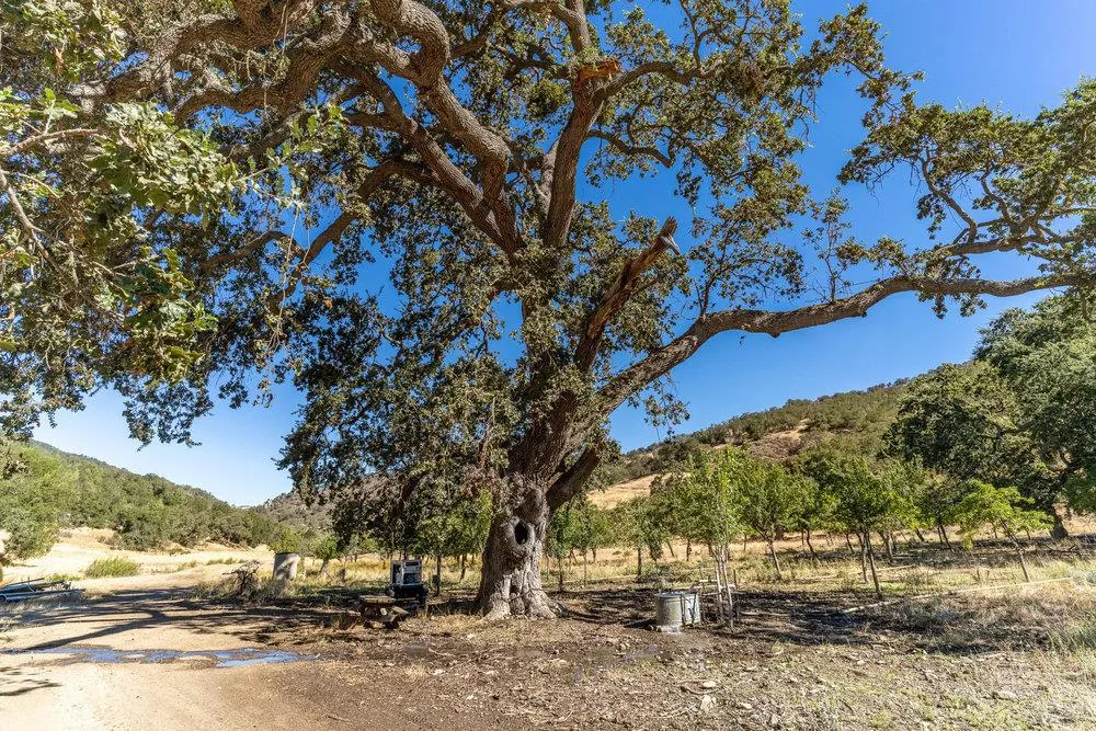 Pacheco Pass Hwy Gilroy, CA 95020