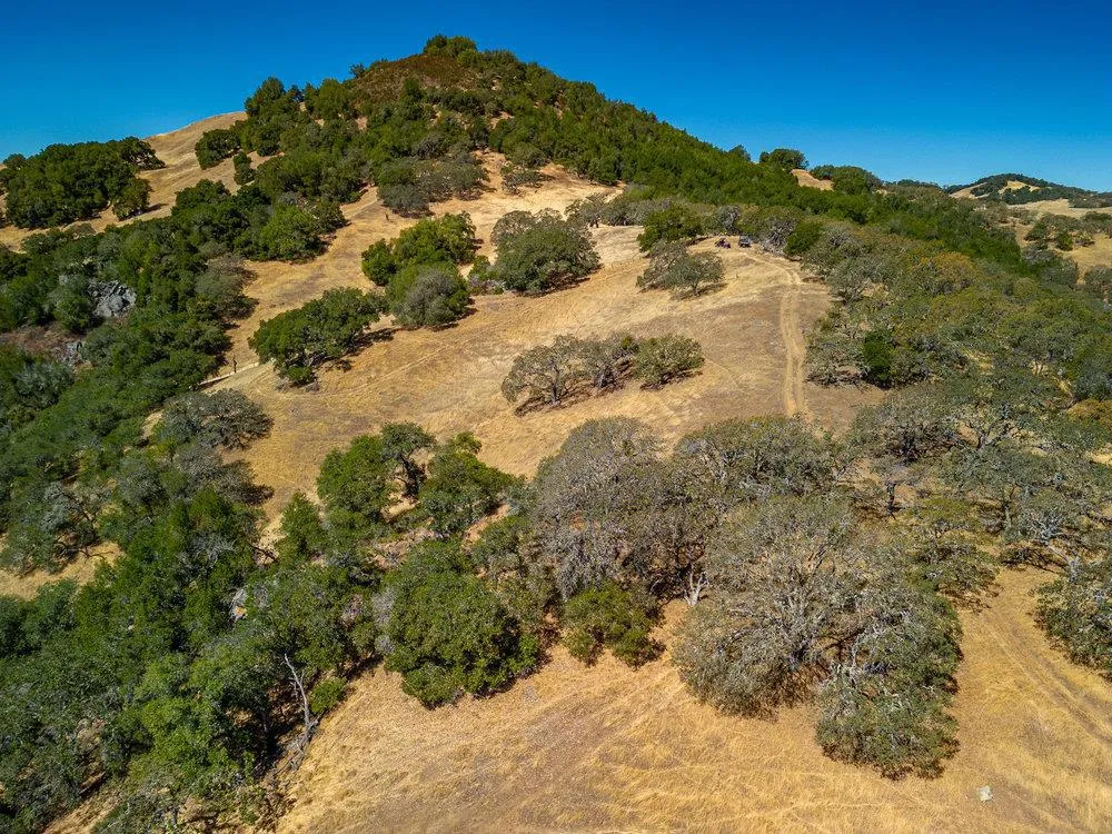 Pacheco Pass Hwy Gilroy, CA 95020