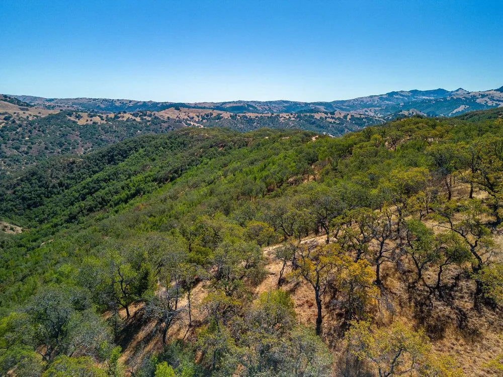 Pacheco Pass Hwy Gilroy, CA 95020
