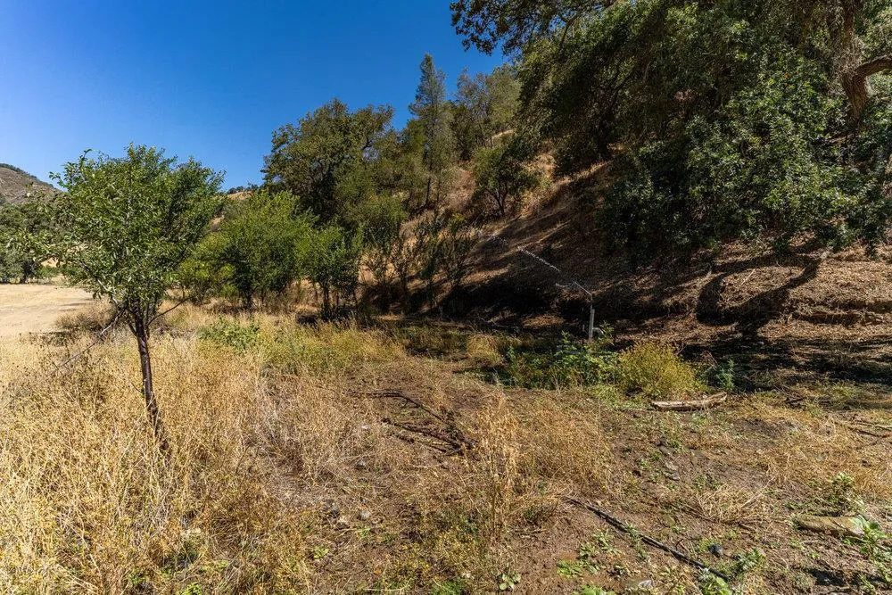 Pacheco Pass Hwy Gilroy, CA 95020