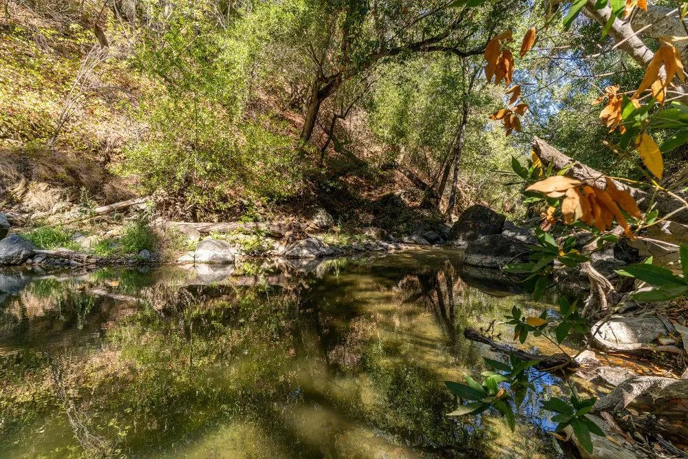 Pacheco Pass Hwy Gilroy, CA 95020