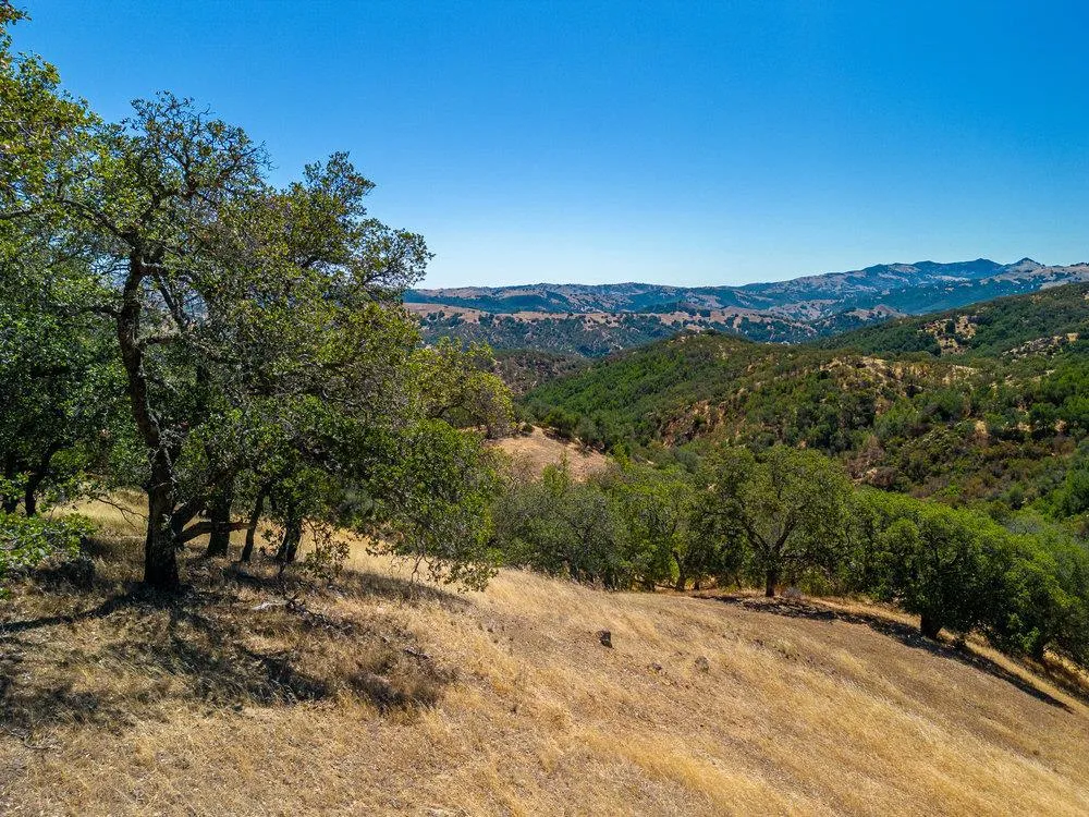 Pacheco Pass Hwy Gilroy, CA 95020
