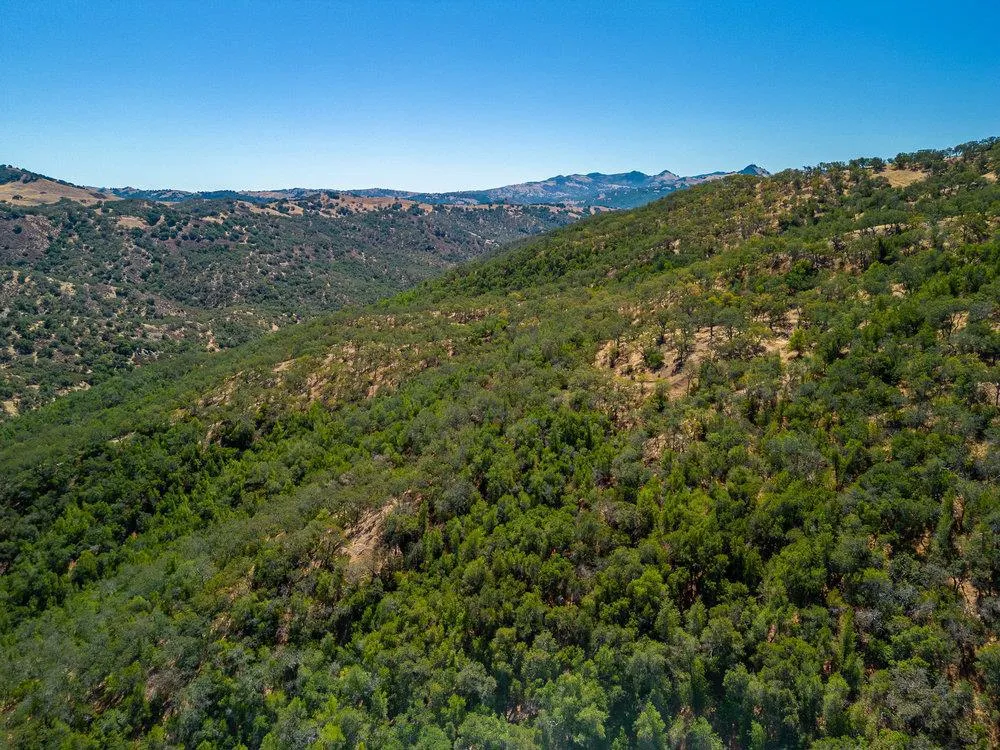 Pacheco Pass Hwy Gilroy, CA 95020