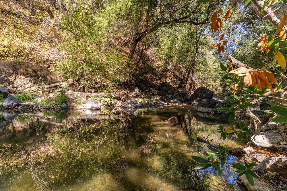Pacheco Pass Hwy Gilroy, CA 95020