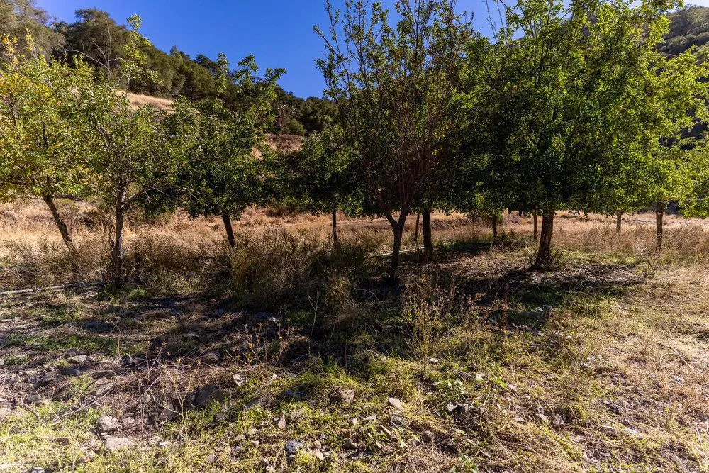 Pacheco Pass Hwy Gilroy, CA 95020