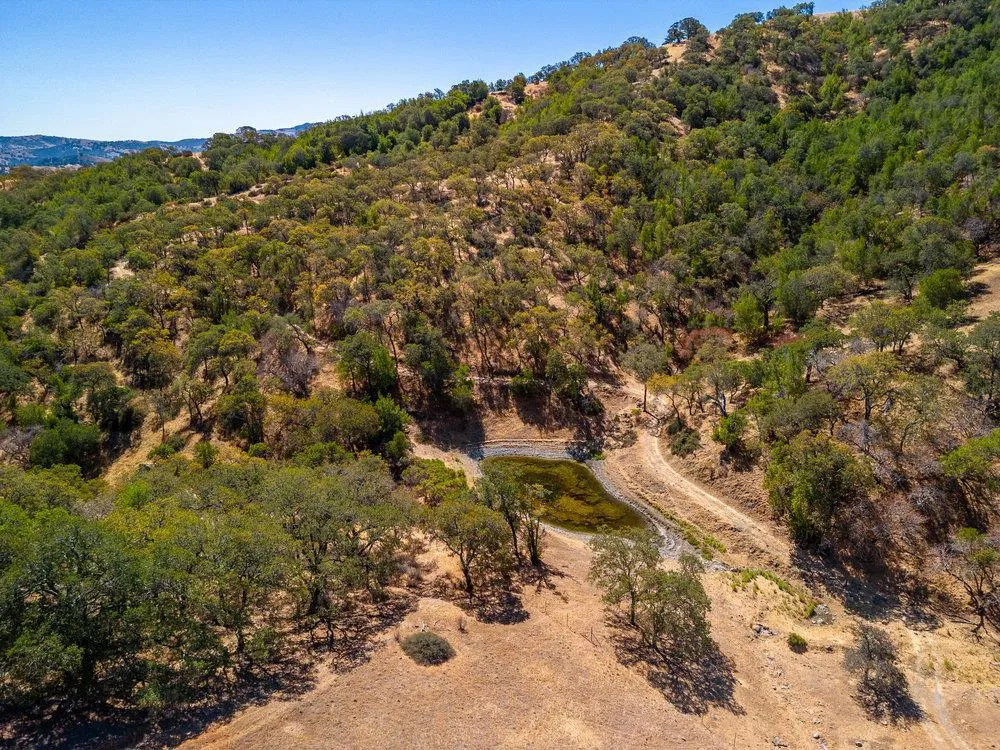 Pacheco Pass Hwy Gilroy, CA 95020