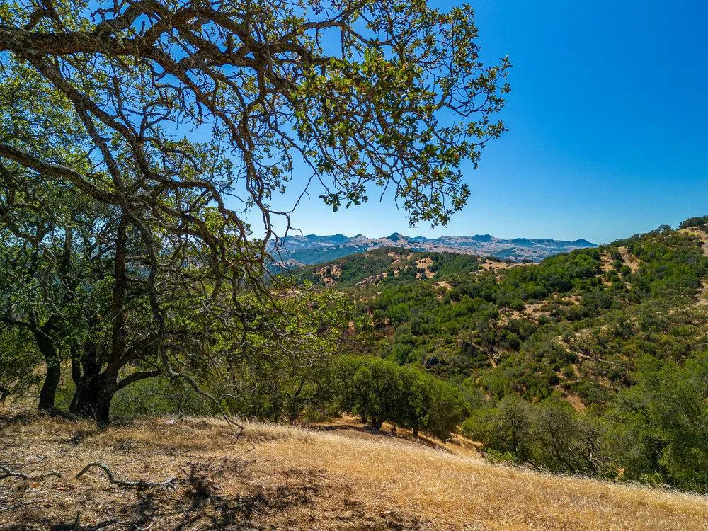 Pacheco Pass Hwy Gilroy, CA 95020