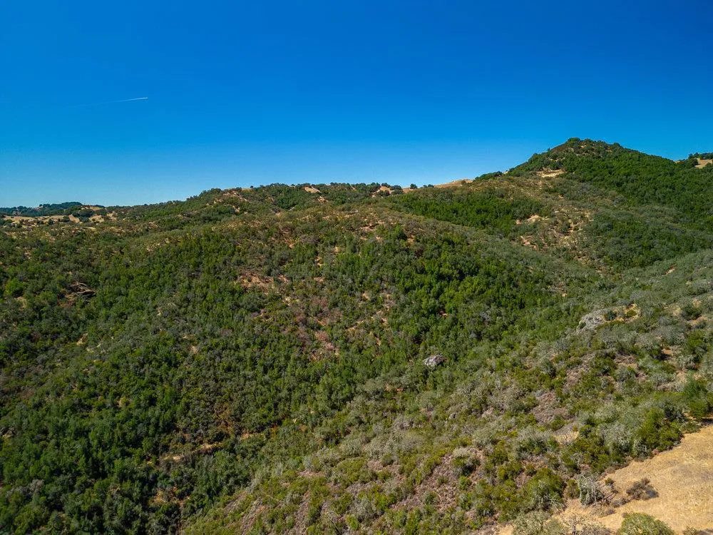 Pacheco Pass Hwy Gilroy, CA 95020