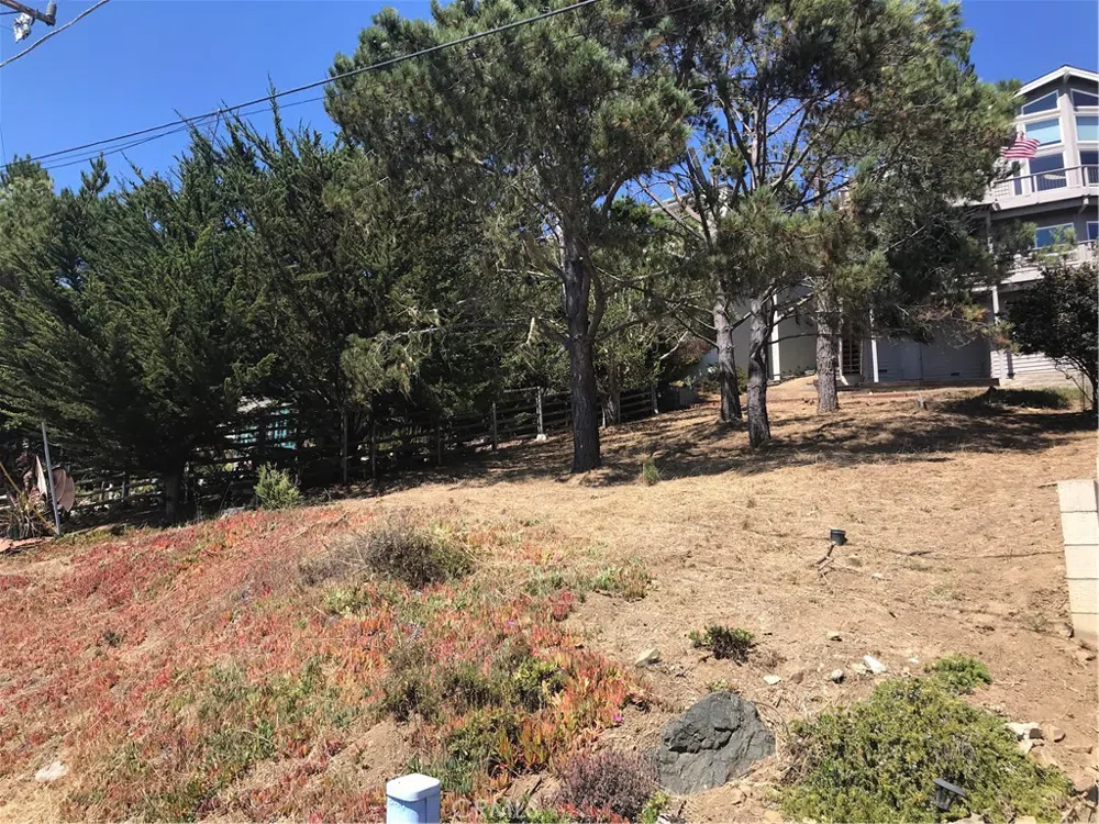 Canterbury Lane Cambria, CA 93428