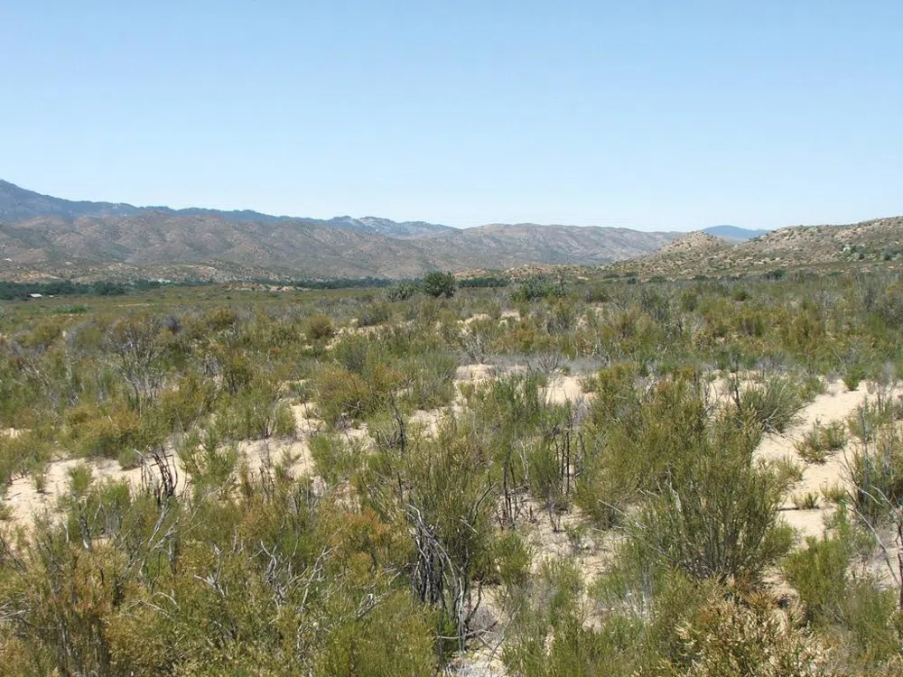 Montezuma Valley Road Ranchita, CA 92066