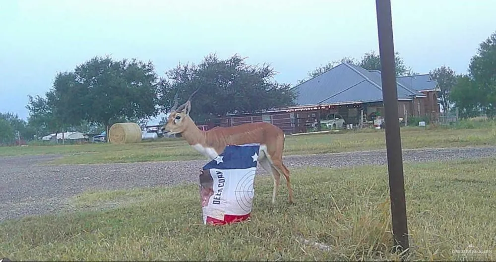 3660 State Highway 285 Highway E Falfurrias, TX 78355